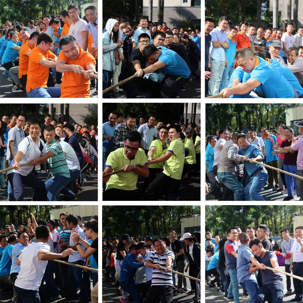 永利集团·yl(中国游)官方网站